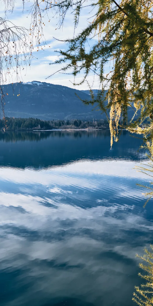 01_blick_auf_wolfgangsee.jpg